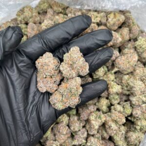 obama runtz strain​