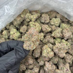 backpack boyz strain