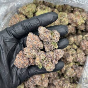 blue cheese weed strain