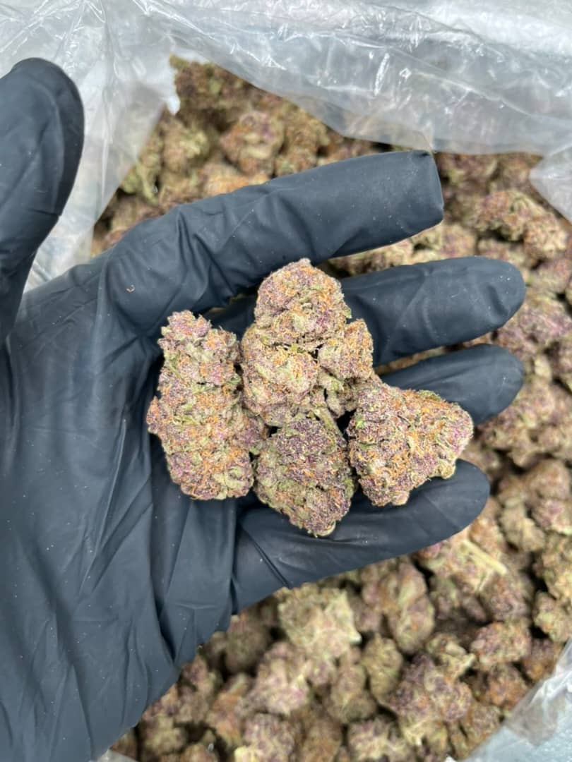 white gummies strain