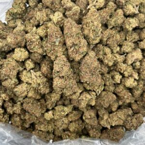 lobster butter strain