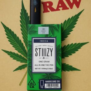 2g stiiizy disposable