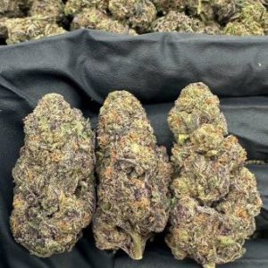 purple push pop strain