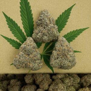 acai gelato strain