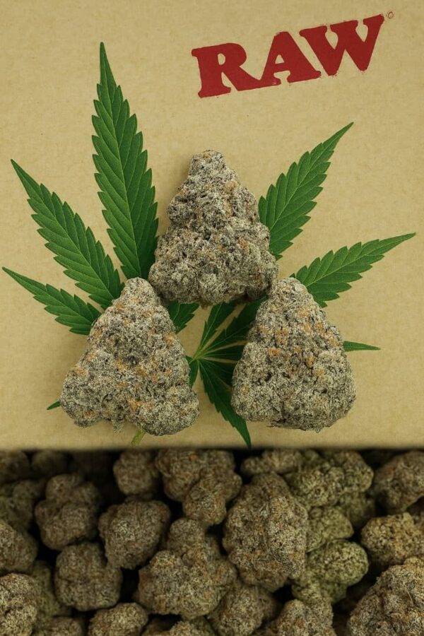 acai gelato strain