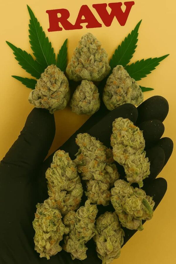 alien rock candy strain