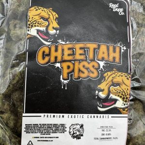 cheetah piss strain review