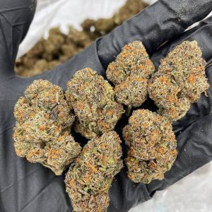 rainbow chip strain review