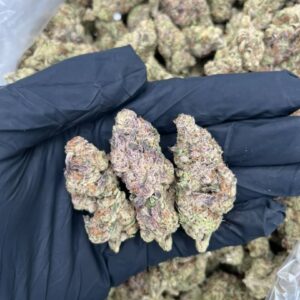 blueberry cupcakes strain​