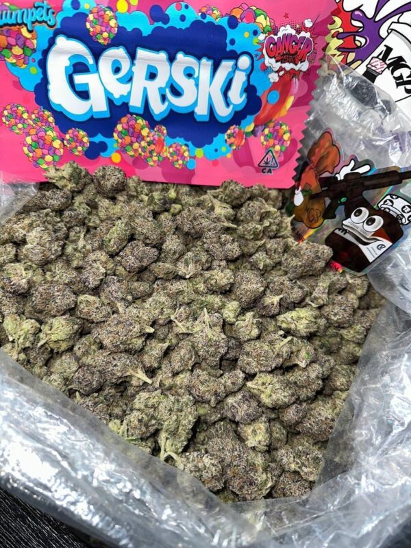 gerski weed strain