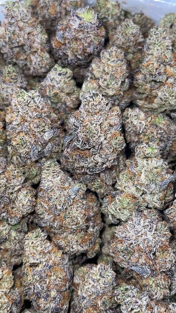 blue candy truffle strain