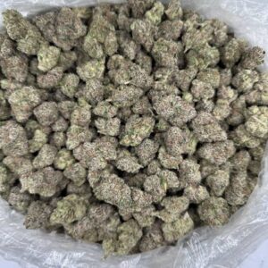 white rose bud strain