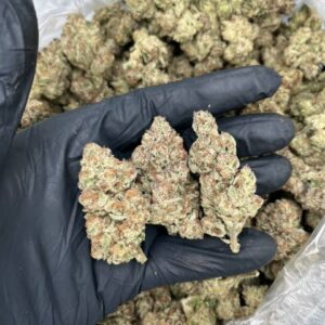 blue nerds weed strain