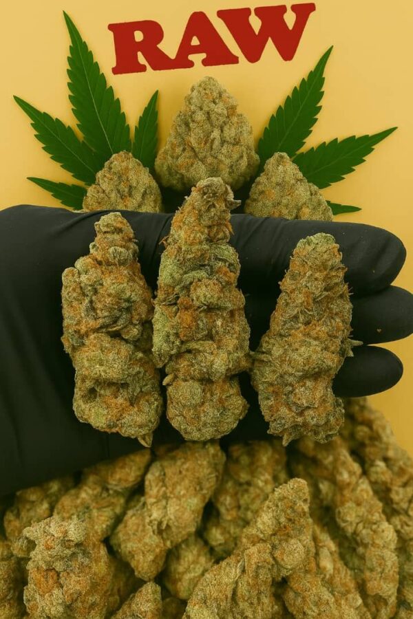 alien zookies strain
