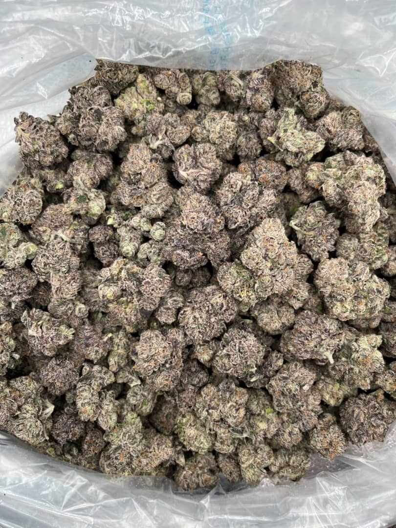 marshmallow madness strain