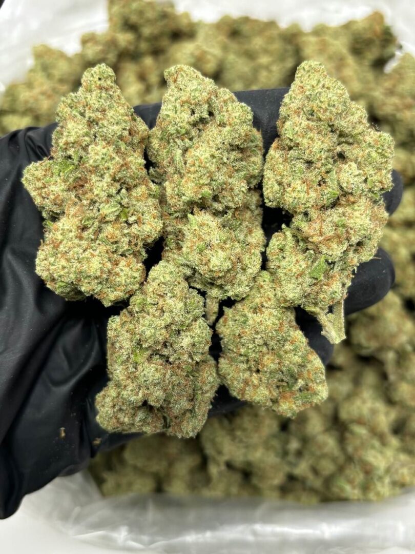 papaya strain papaya og strain papaya weed strain