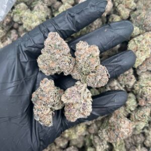 black runtz strain review