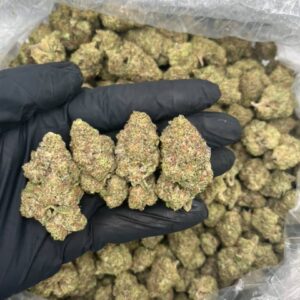 Purple Ice Cream Strain