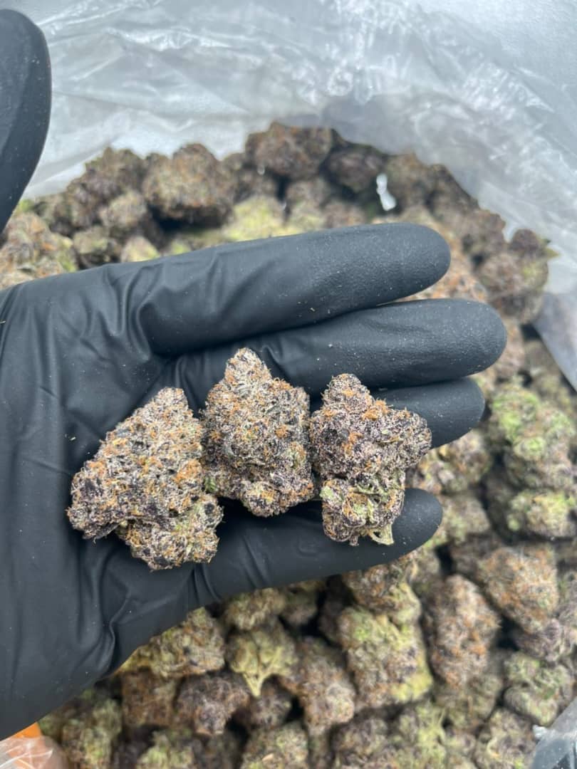 cherry blossom strain