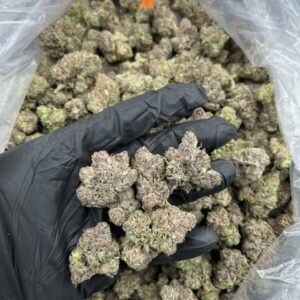 41 cherries strain