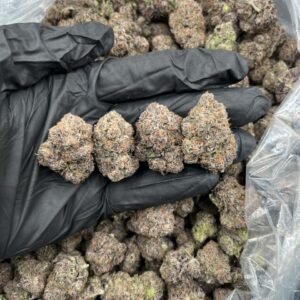 black cherry gelato weed strain​